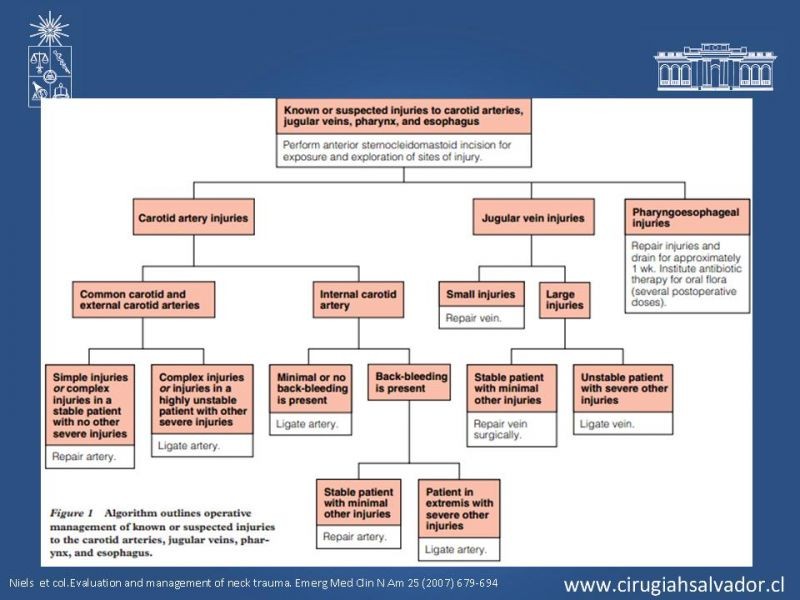 Diapositiva 26 de Manejo del trauma cervical penetrante