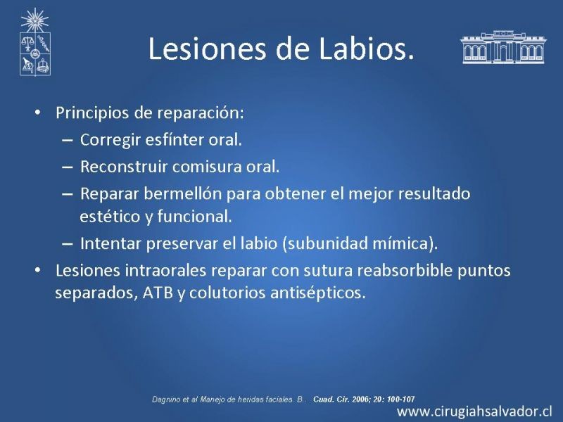 Diapositiva 43 de Trauma Facial: Manejo Quirúrgico de Partes Blandas  