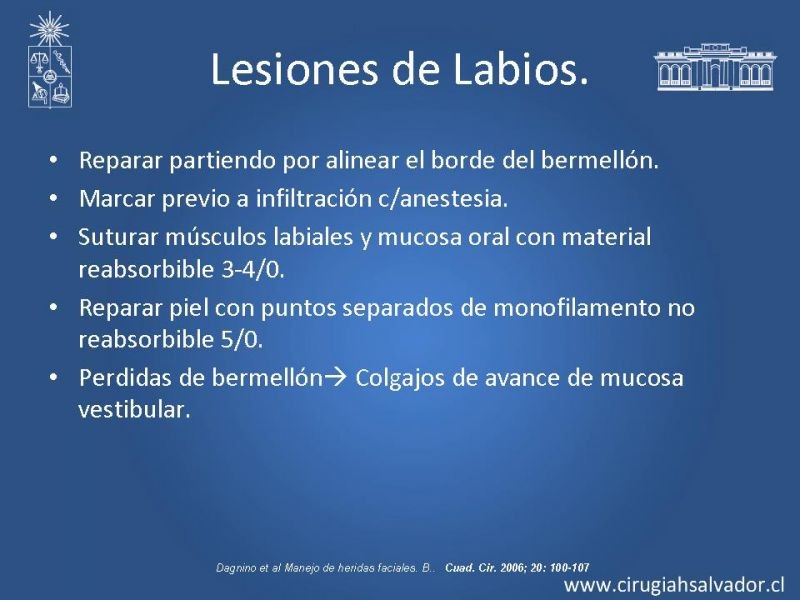 Diapositiva 41 de Trauma Facial: Manejo Quirúrgico de Partes Blandas  