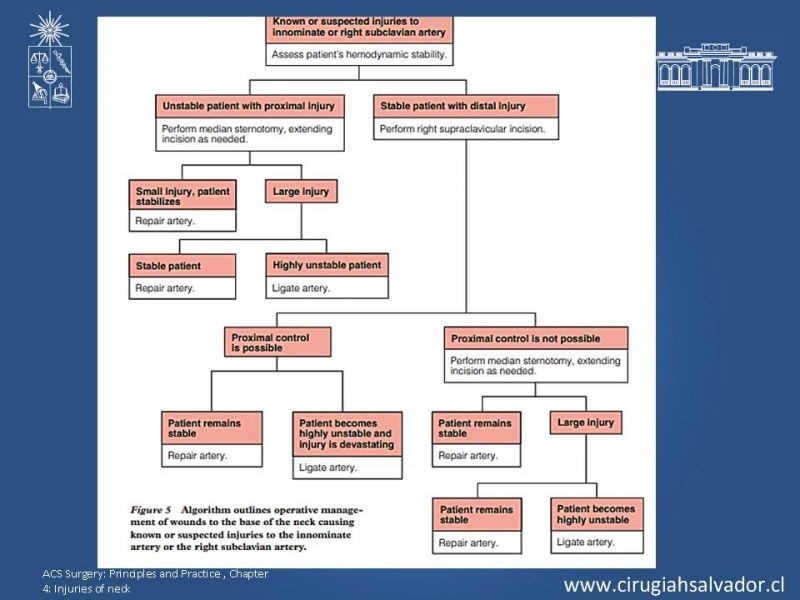 Diapositiva 27 de Manejo del trauma cervical penetrante
