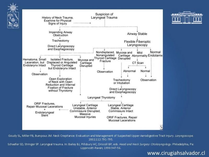 Diapositiva 20 de Manejo del trauma laríngeo