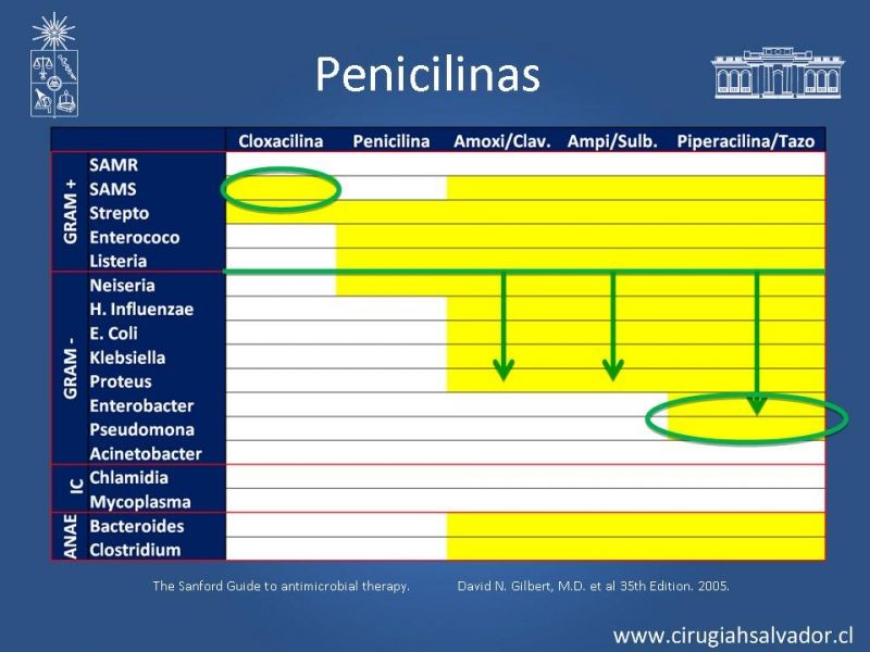 Diapositiva 3 de Armamentario ATB HDS: Indicaciones y usos