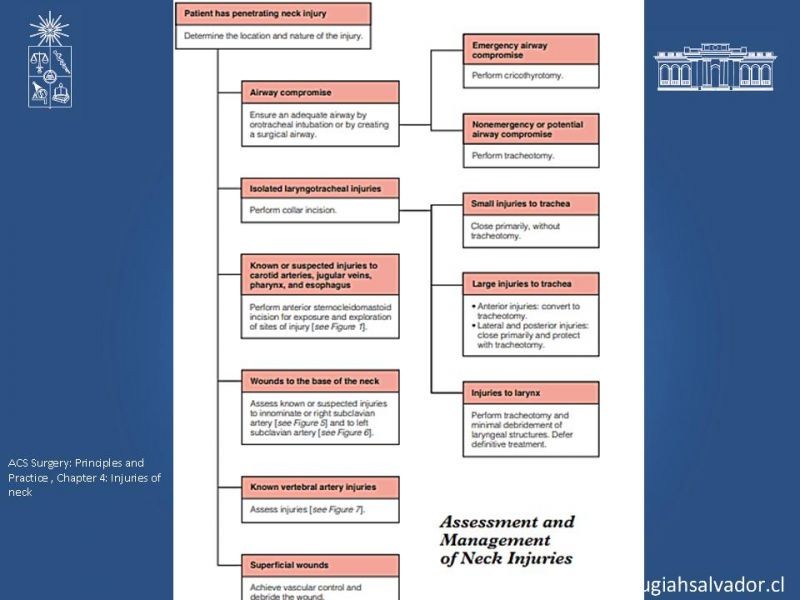 Diapositiva 25 de Manejo del trauma cervical penetrante