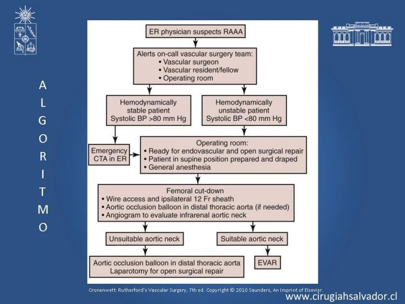 Diapositiva 21 de Aneurisma Aórtico Abdominal Roto