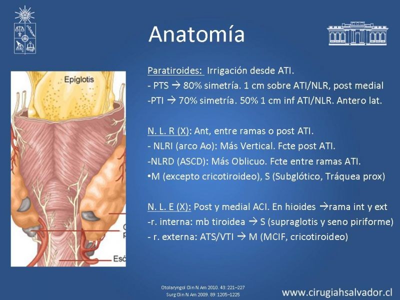 Diapositiva 19 de Hiperparatiroidismo primario