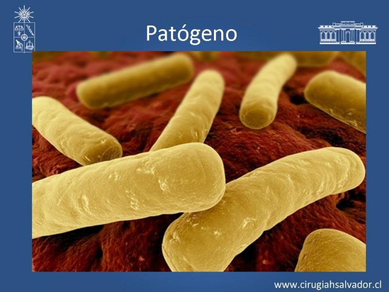 Diapositiva 2 de Diarrea por C. Difficile