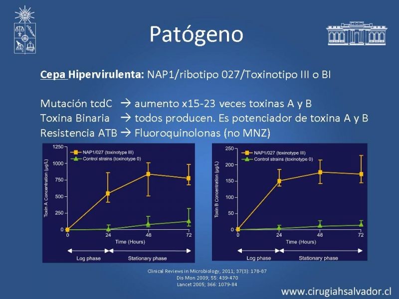 Diapositiva 6 de Diarrea por C. Difficile
