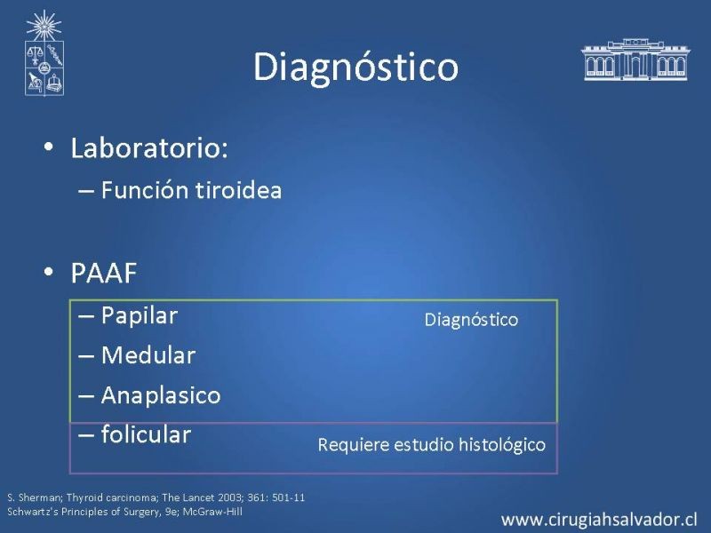Diapositiva 6 de Cáncer diferenciado de tiroides