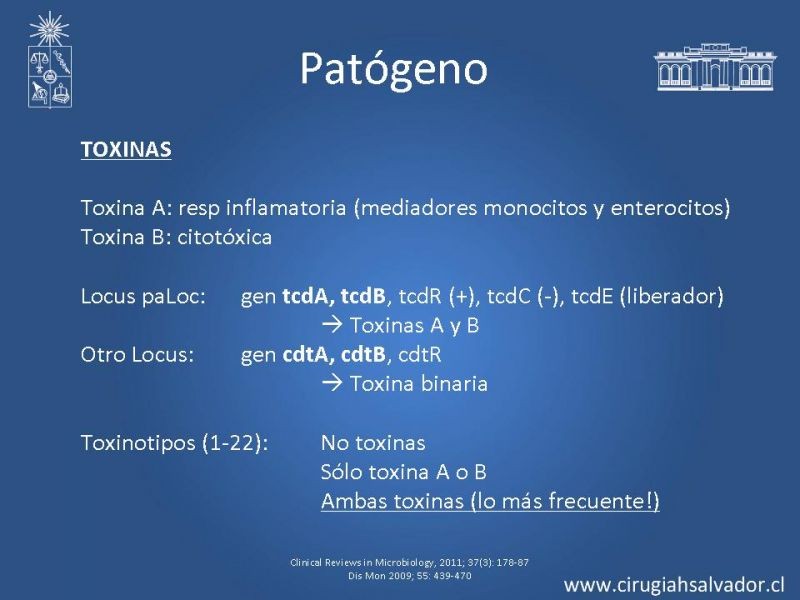 Diapositiva 4 de Diarrea por C. Difficile