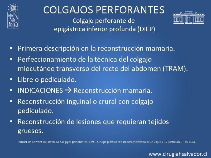 Diapositiva 14 de Colgajos perforantes: Anatomía-usos