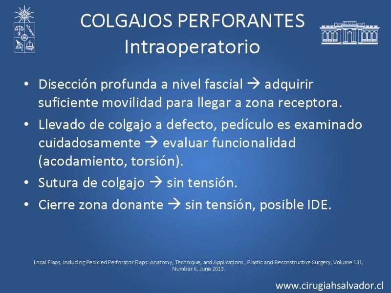 Diapositiva 12 de Colgajos perforantes: Anatomía-usos