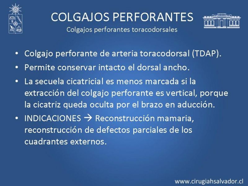 Diapositiva 35 de Colgajos perforantes: Anatomía-usos