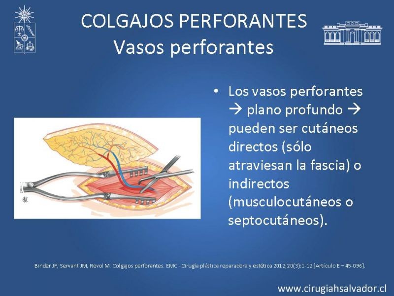 Diapositiva 5 de Colgajos perforantes: Anatomía-usos