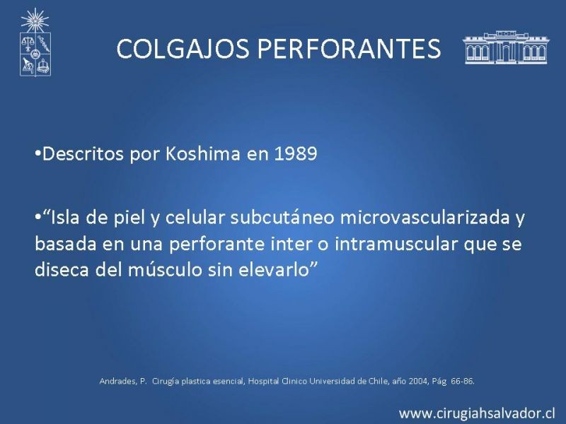 Diapositiva 4 de Colgajos perforantes: Anatomía-usos