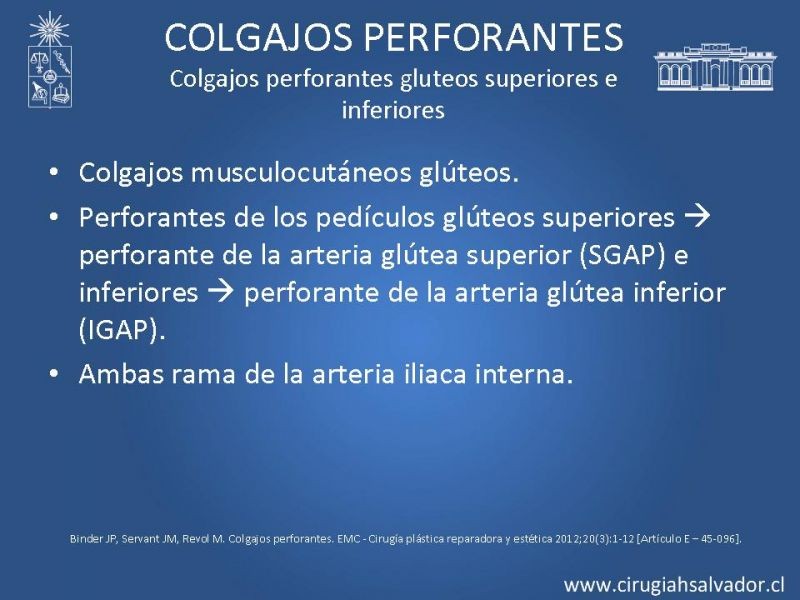 Diapositiva 29 de Colgajos perforantes: Anatomía-usos