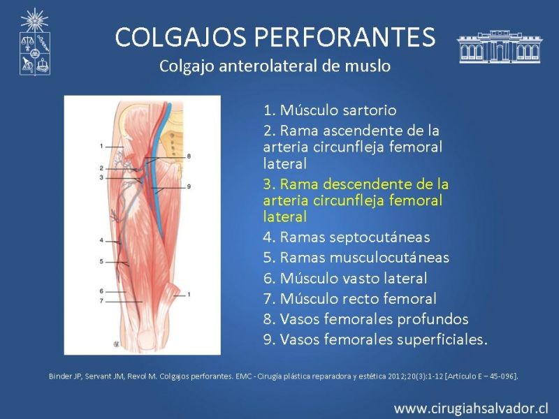 Diapositiva 21 de Colgajos perforantes: Anatomía-usos