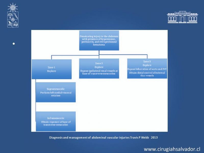 Diapositiva 8 de Lesiones Arteriales de Aorta abdominal e Iliacas 