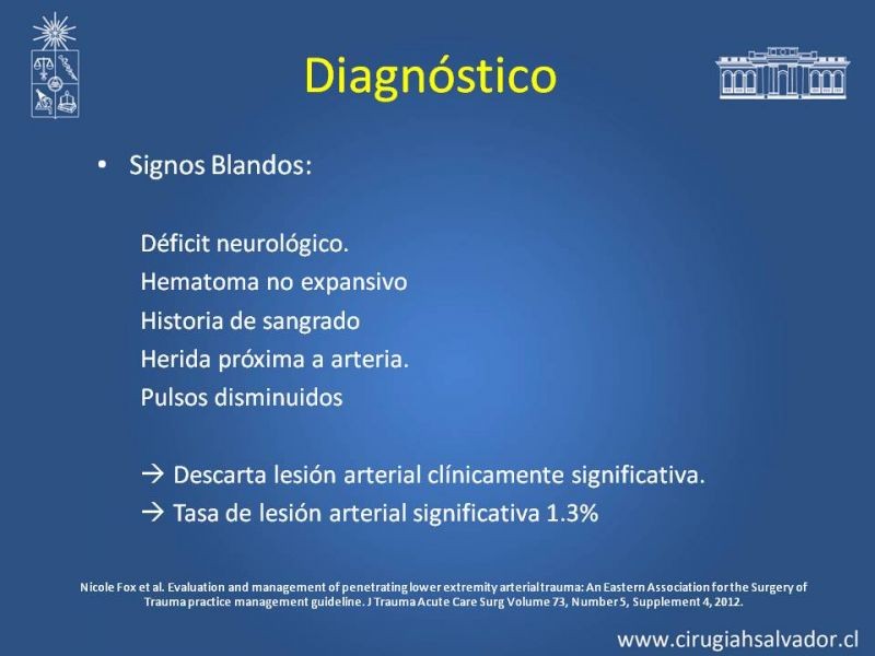 Diapositiva 7 de Trauma Arterial de EEII