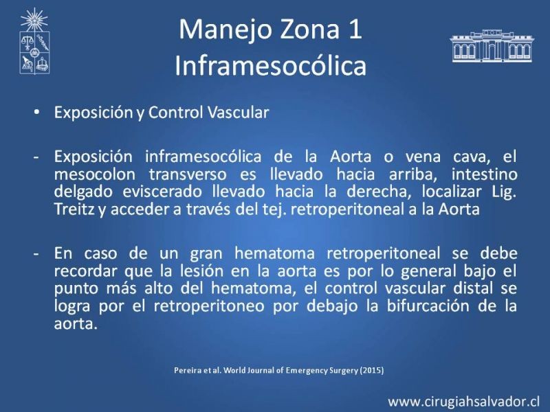 Diapositiva 44 de Lesiones Arteriales de Aorta abdominal e Iliacas 