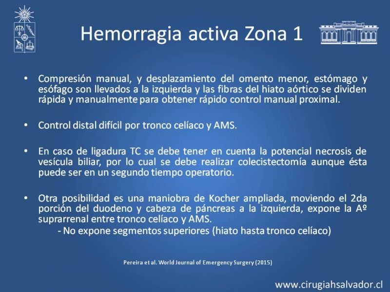 Diapositiva 32 de Lesiones Arteriales de Aorta abdominal e Iliacas 