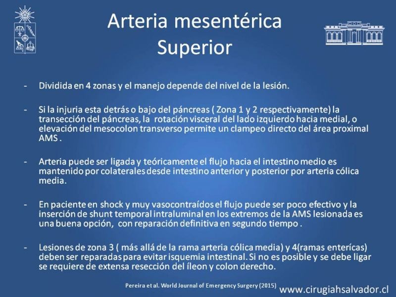 Diapositiva 43 de Lesiones Arteriales de Aorta abdominal e Iliacas 