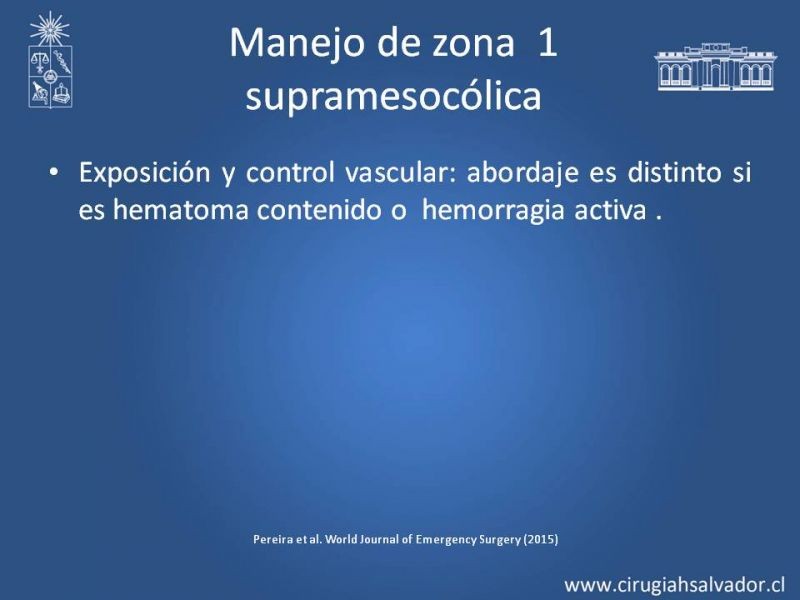 Diapositiva 25 de Lesiones Arteriales de Aorta abdominal e Iliacas 