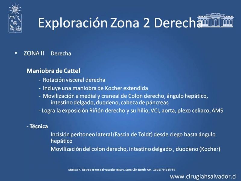 Diapositiva 48 de Lesiones Arteriales de Aorta abdominal e Iliacas 