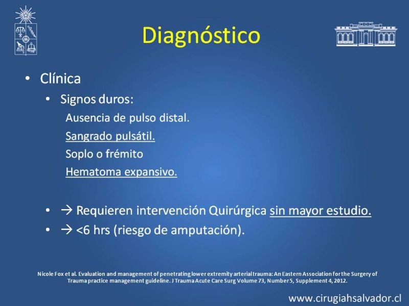 Diapositiva 6 de Trauma Arterial de EEII