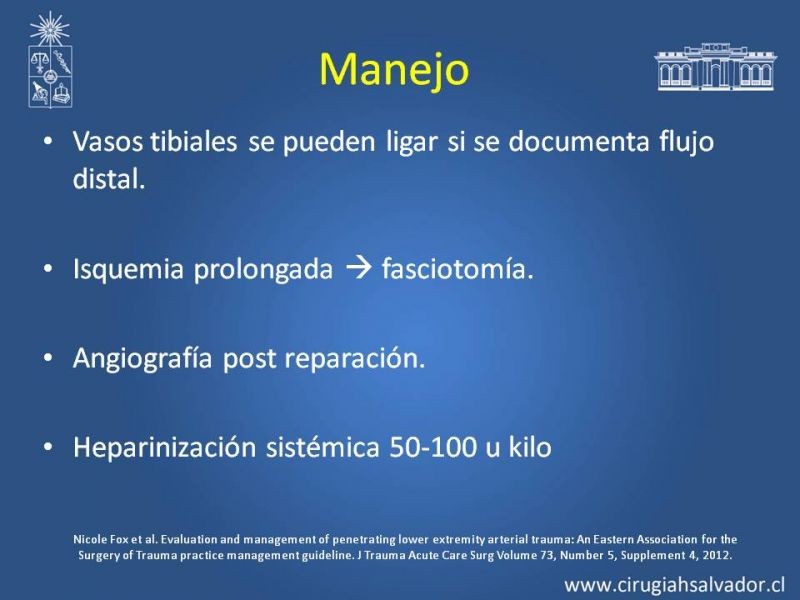 Diapositiva 12 de Trauma Arterial de EEII