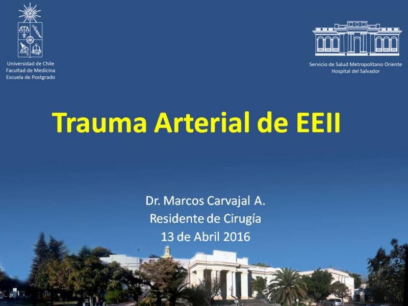 Diapositiva 14 de Trauma Arterial de EEII