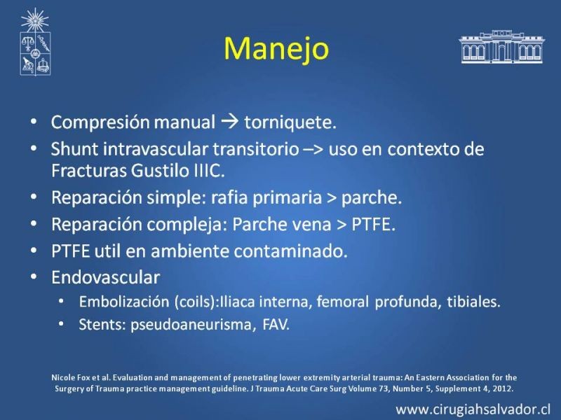 Diapositiva 11 de Trauma Arterial de EEII