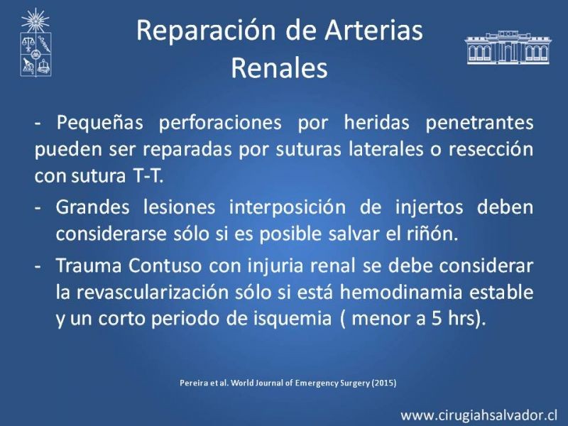Diapositiva 51 de Lesiones Arteriales de Aorta abdominal e Iliacas 