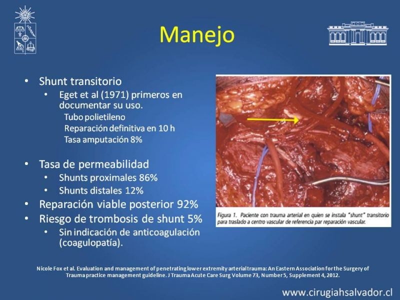Diapositiva 10 de Trauma Arterial de EEII