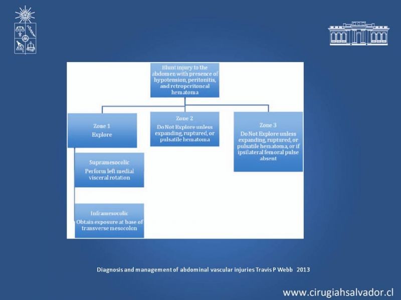 Diapositiva 10 de Lesiones Arteriales de Aorta abdominal e Iliacas 