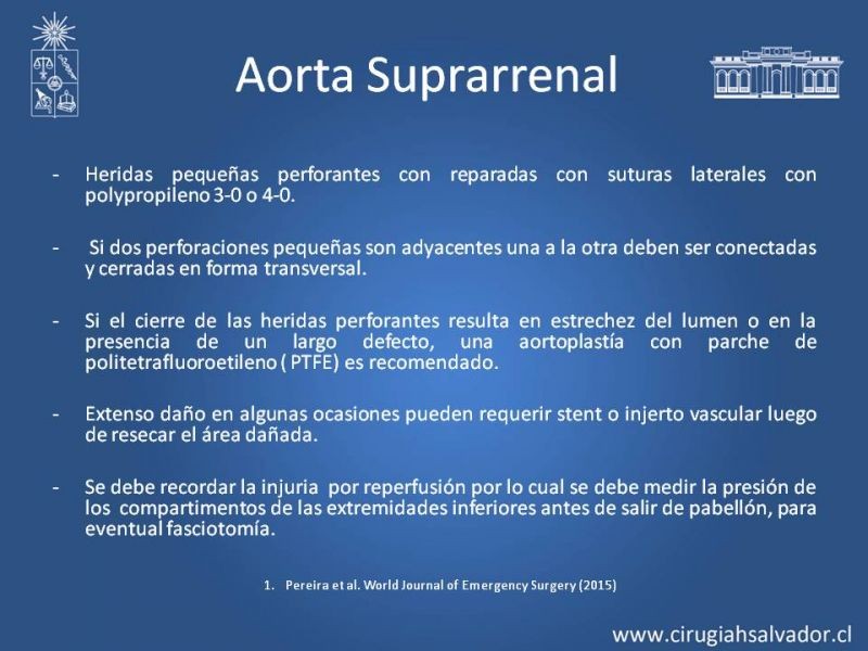 Diapositiva 34 de Lesiones Arteriales de Aorta abdominal e Iliacas 