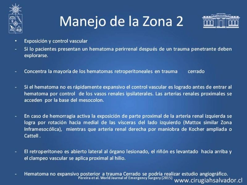 Diapositiva 47 de Lesiones Arteriales de Aorta abdominal e Iliacas 