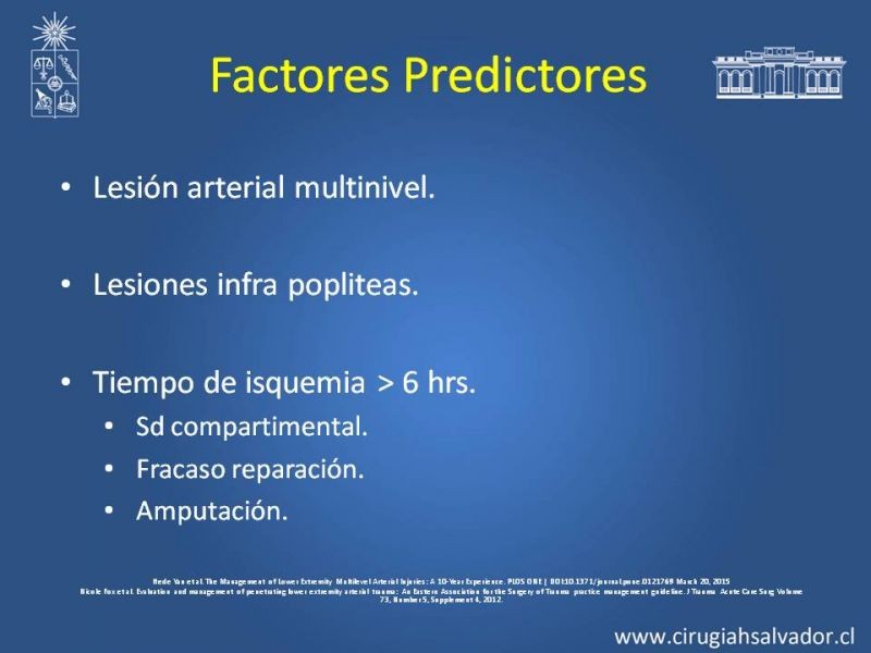 Diapositiva 3 de Trauma Arterial de EEII