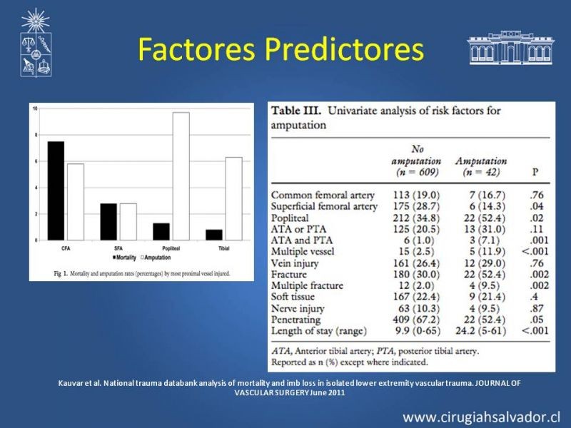 Diapositiva 4 de Trauma Arterial de EEII