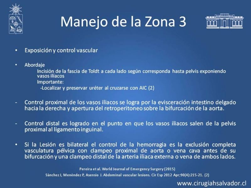 Diapositiva 53 de Lesiones Arteriales de Aorta abdominal e Iliacas 