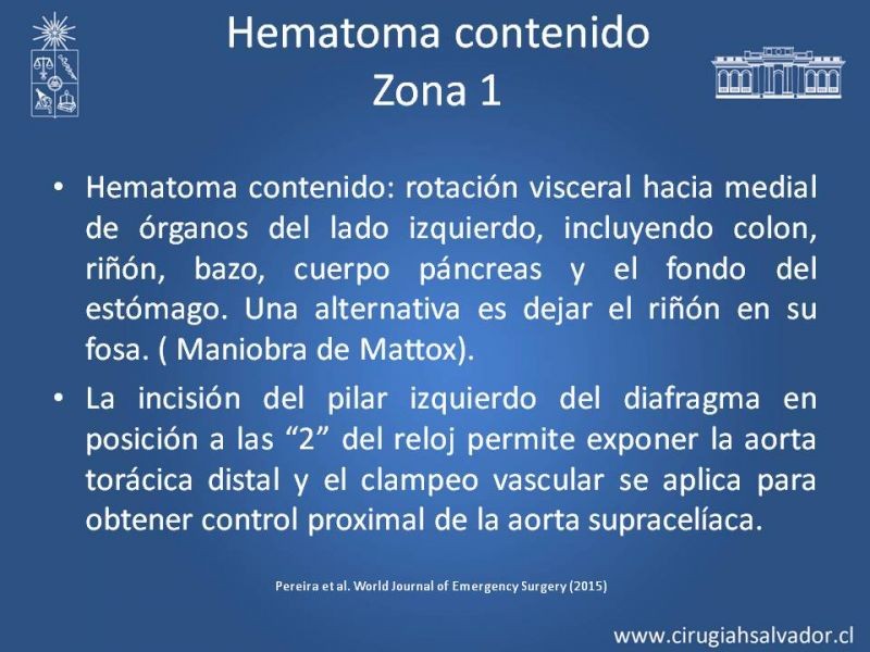 Diapositiva 26 de Lesiones Arteriales de Aorta abdominal e Iliacas 