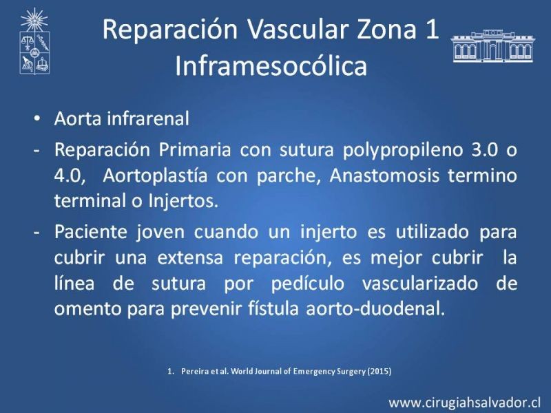 Diapositiva 46 de Lesiones Arteriales de Aorta abdominal e Iliacas 