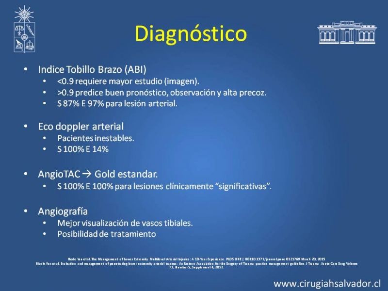 Diapositiva 8 de Trauma Arterial de EEII