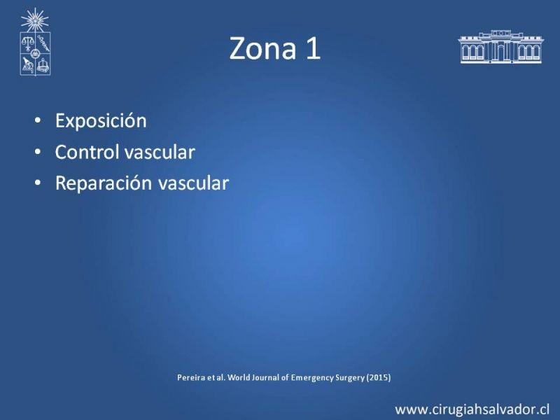 Diapositiva 24 de Lesiones Arteriales de Aorta abdominal e Iliacas 