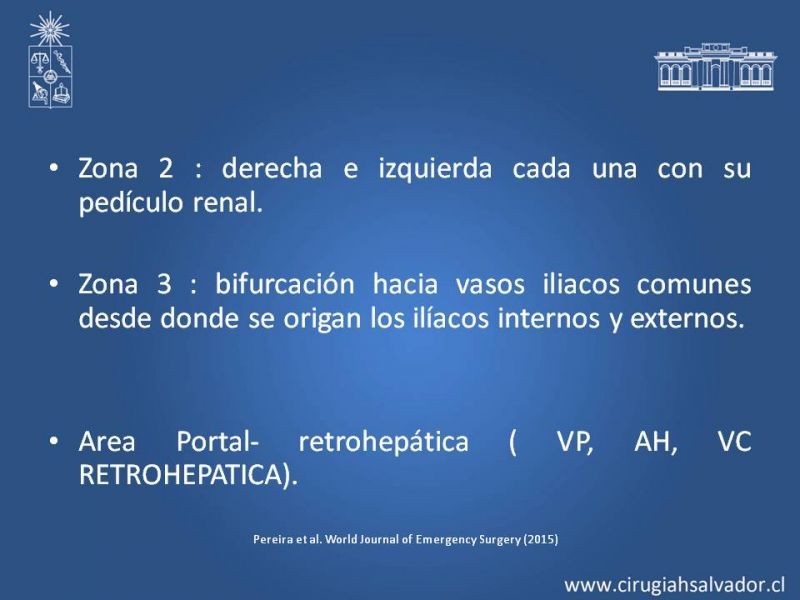 Diapositiva 17 de Lesiones Arteriales de Aorta abdominal e Iliacas 