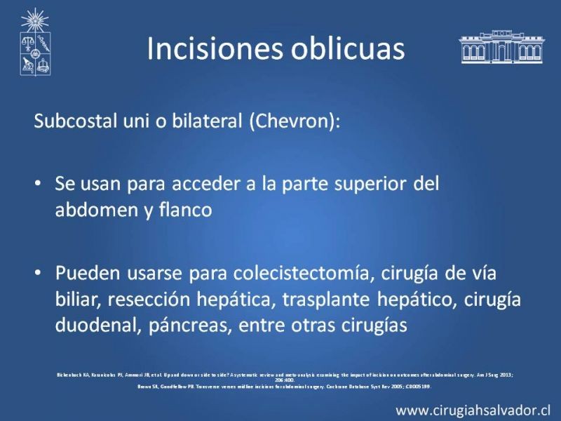 Diapositiva 17 de Laparotomías