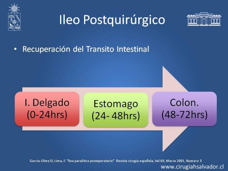 Diapositiva 3 de Ileo postquirúrgico