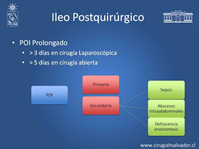 Diapositiva 4 de Ileo postquirúrgico