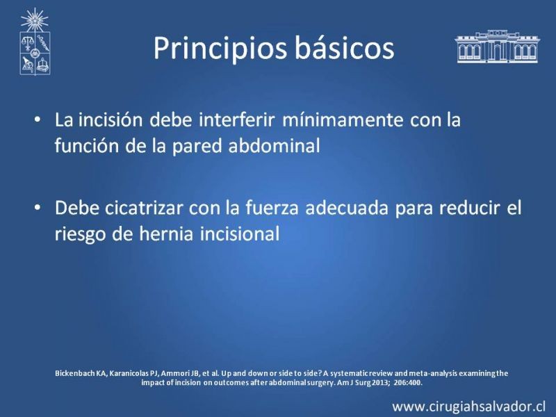 Diapositiva 3 de Laparotomías