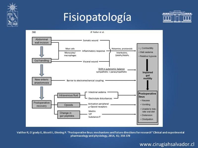 Diapositiva 8 de Ileo postquirúrgico