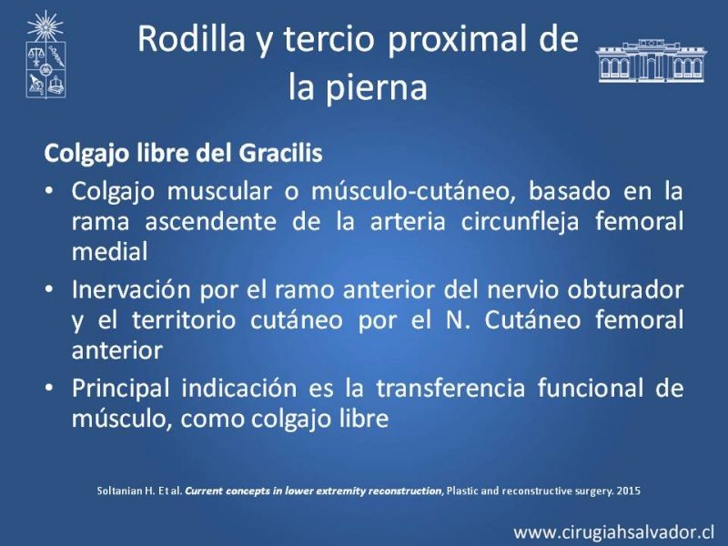 Diapositiva 21 de Reconstrucción de extremidad inferior
